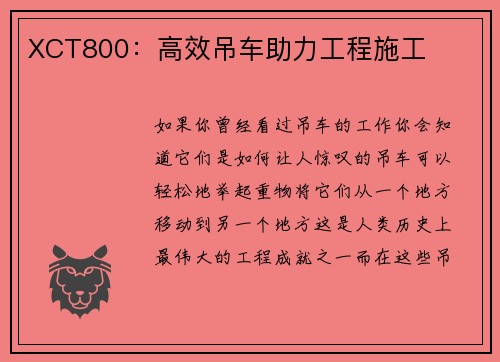 XCT800:高效吊车助力工程施工