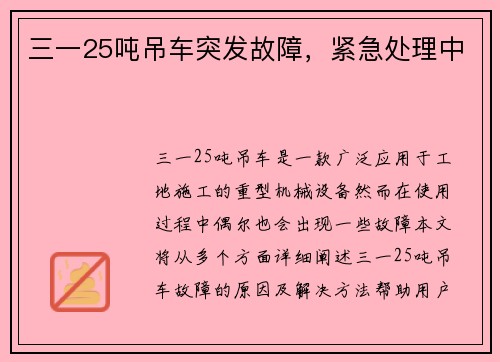 三一25吨吊车突发故障,紧急处理中