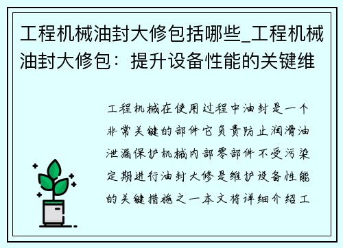 工程机械油封大修包括哪些_工程机械油封大修包:提升设备性能的关键维护方案